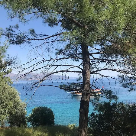 Amos Stone House - Sea View - Private Cove Access Ferienhaus